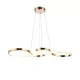 TINA LED MEDAILLON 35 W 3000 K, FRANZÖSISCHES GOLD