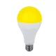 LED-GLÜHBIRNE, FARBIG A60 8W IP20