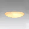 ELDLUX AGARICUS Deckenleuchte 30W CCT weiß